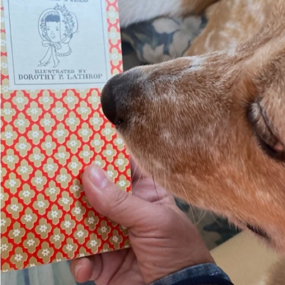 Hitty Her First Hundred Years book by Rachel Field - Picture 3 of 3
